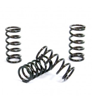 ProX Clutch Spring Kit...