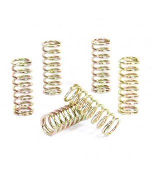 ProX Clutch Spring Kit...