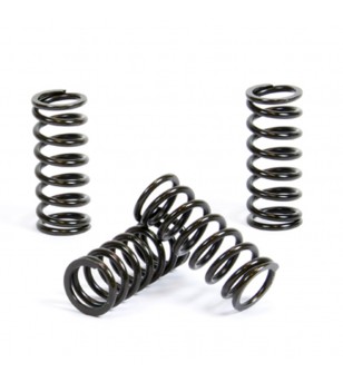 Prox Clutch Spring Kit...
