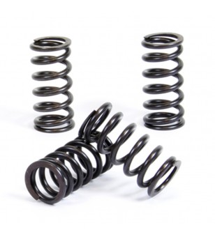 ProX Clutch Spring Kit...