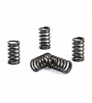 Prox Clutch Spring Kit...