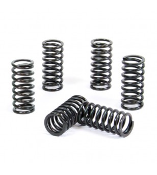 Prox Clutch Spring Kit...
