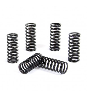 ProX Clutch Spring Kit...