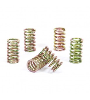Prox Clutch Spring Kit...