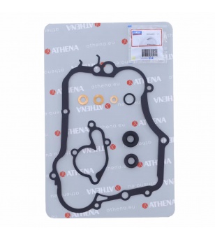 Athena Water Pump Rebuild Kit