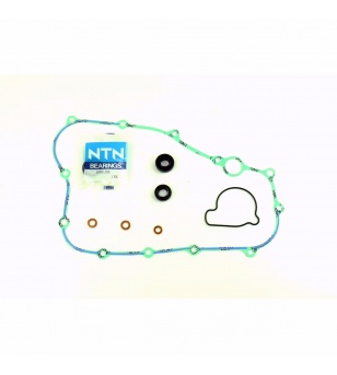 Athena Water Pump Rebuild Kit