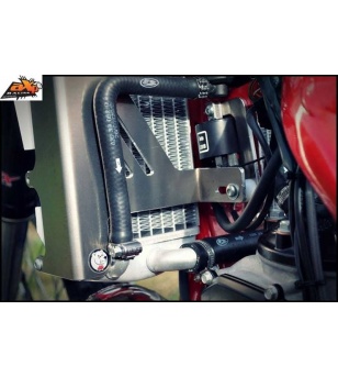 AXP Radiator Braces Beta 250RR, 300RR '14-16'