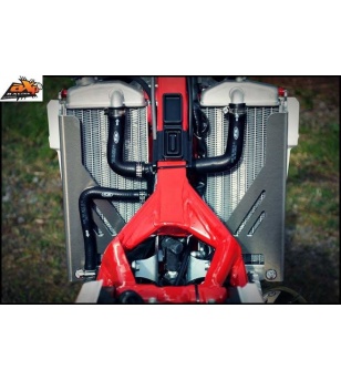 AXP Radiator Braces Beta...