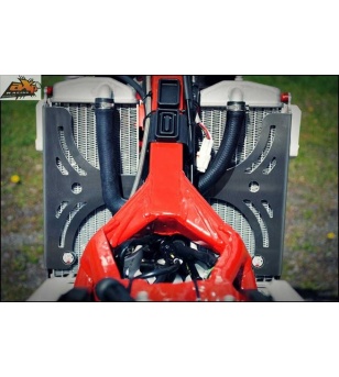 AXP Radiator Braces Beta...