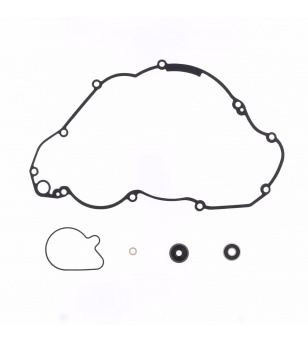 Athena Water Pump Rebuild Kit