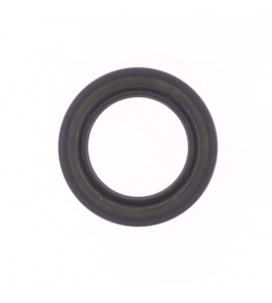 Athena Crank Seal Set TM EN 250 / 300